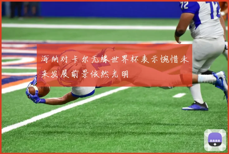 海纳对卡尔无缘世界杯表示惋惜未来发展前景依然光明