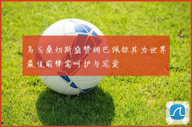 乌戈桑切斯盛赞姆巴佩称其为世界最佳前锋需呵护与宠爱